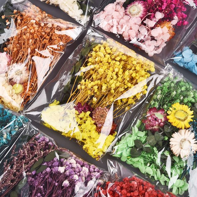 1Bag Natural Dried Flower For Aromatherapy Candle Making Epoxy Resin  Jewelry Dry Plants Dried Flowers Making Craft Accessories - AliExpress